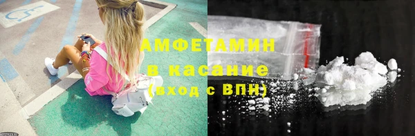 шишки Медвежьегорск