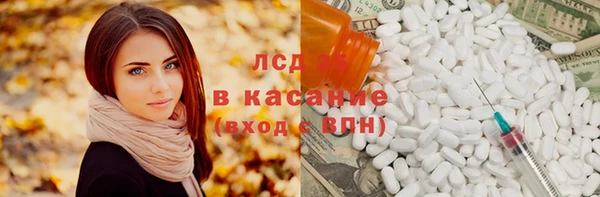 шишки Медвежьегорск