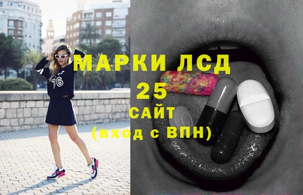 шишки Медвежьегорск
