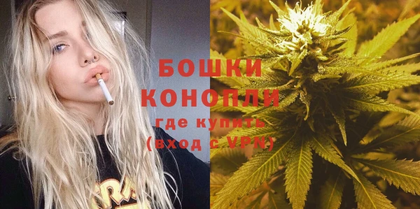 мдпв Медногорск