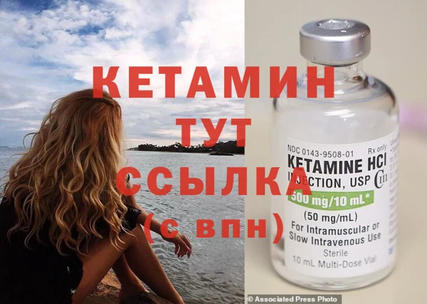 шишки Медвежьегорск