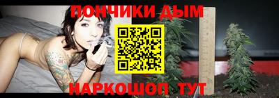 крисы Кинель