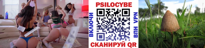 Псилоцибиновые грибы Psilocybine cubensis  ОМГ ОМГ ссылки  дарк нет Telegram  Углич 